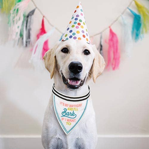 Santa Barbara Design Studio by Creative Brands - Pet Bandana - It's My Birthday And I'll Bark If I Want To